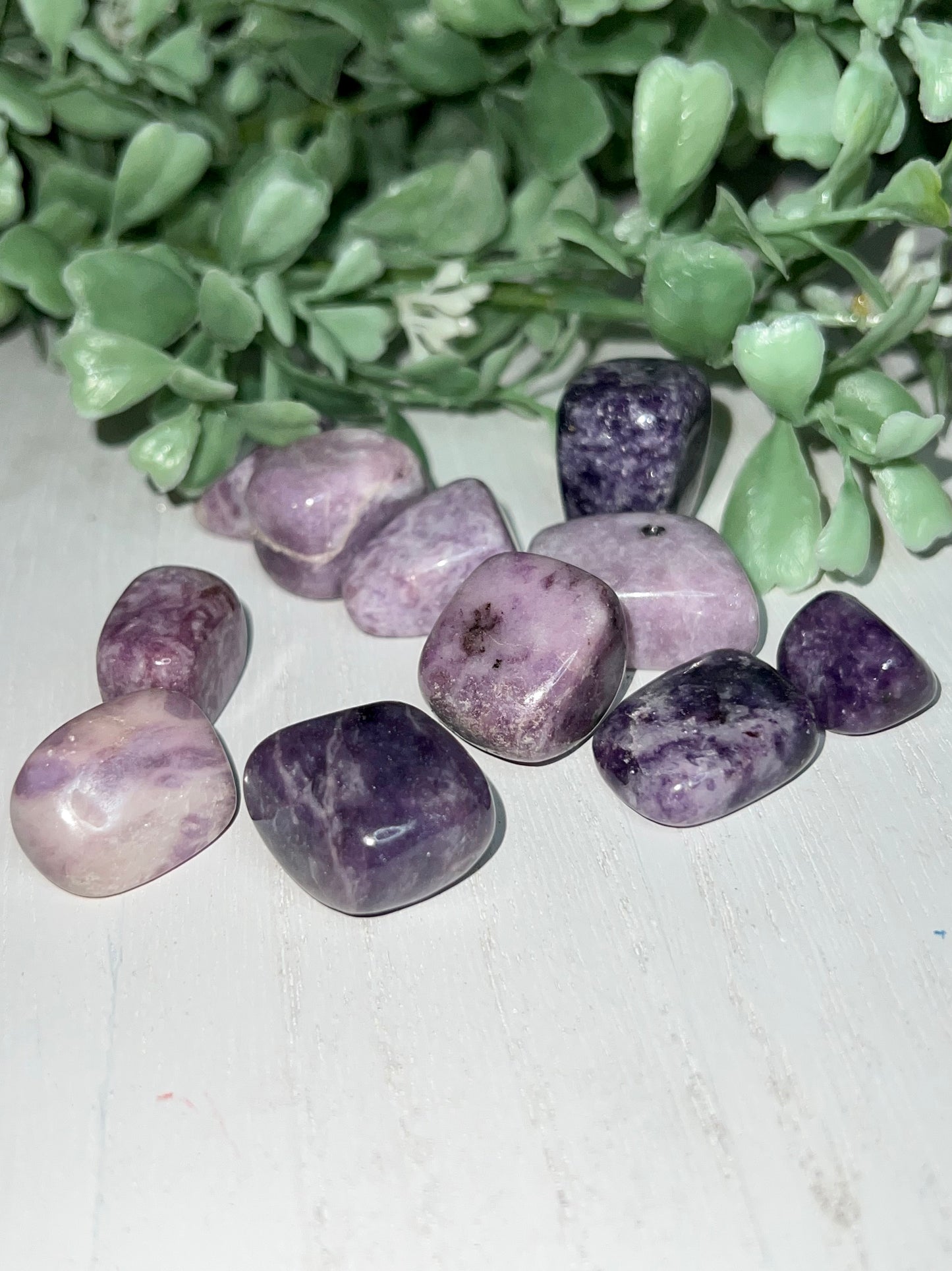 Lepidolite Tumbled