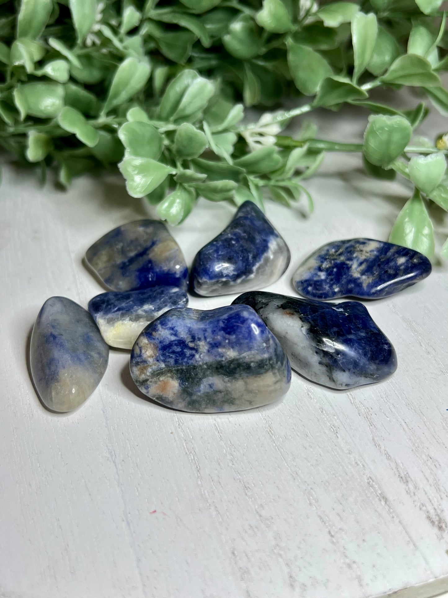 Sodalite Tumbled