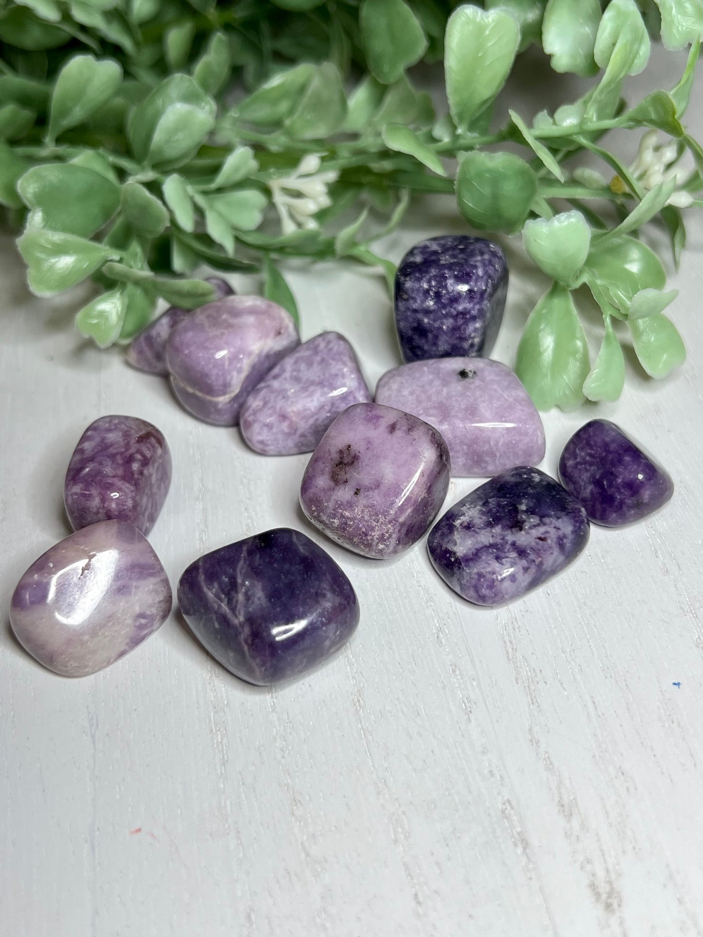 Lepidolite Tumbled